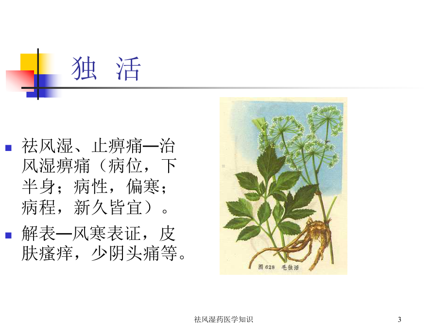 祛风湿药医学知识培训课件.ppt_第3页