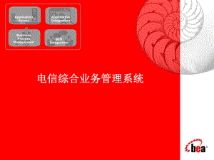 BEA电信综合业务管理系统课件.ppt