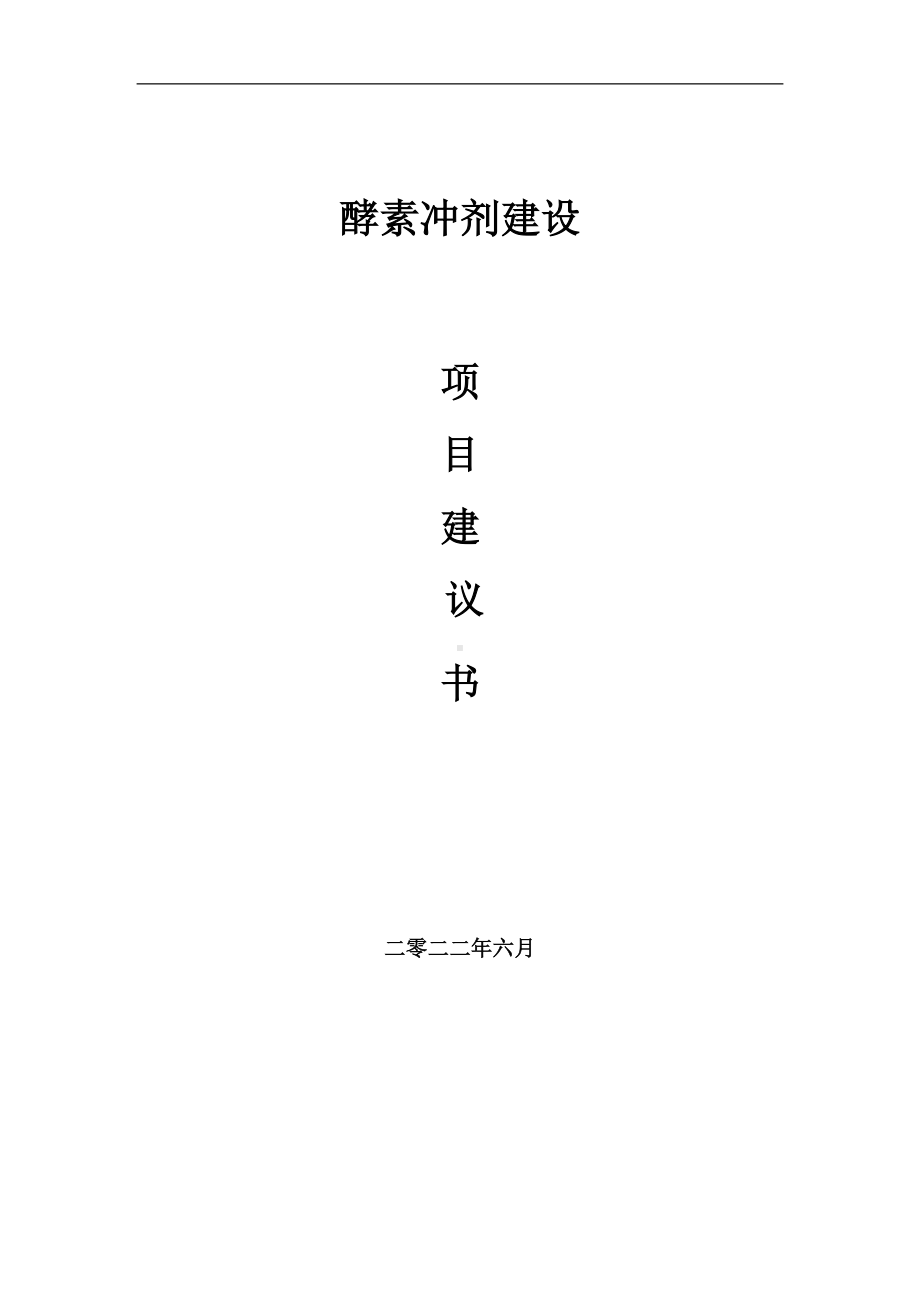 酵素冲剂项目建议书（写作模板）.doc_第1页