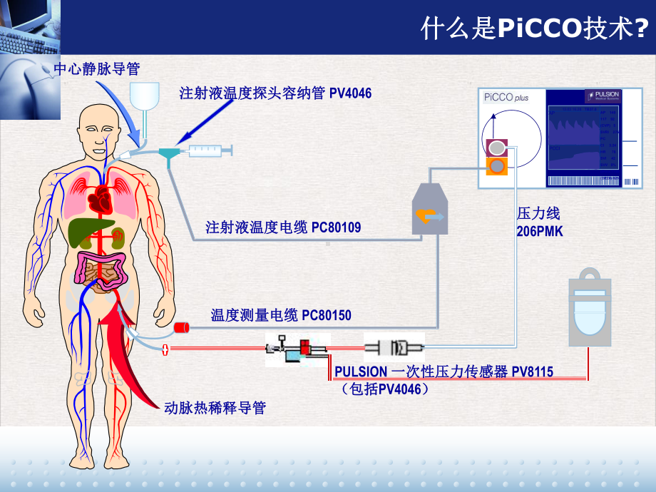 监测以及护理课件.pptx_第3页