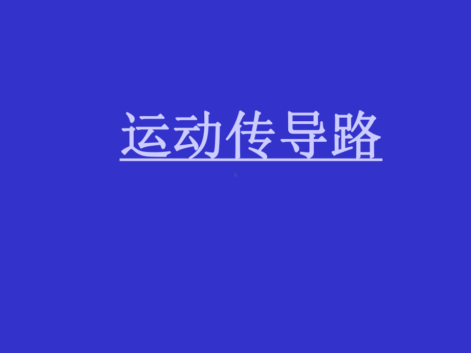 神经系统课件：运动传导路.ppt_第2页