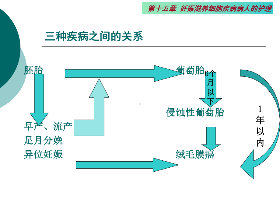 第十六章妊娠滋养细胞疾病病人的护理课件.pptx_第3页