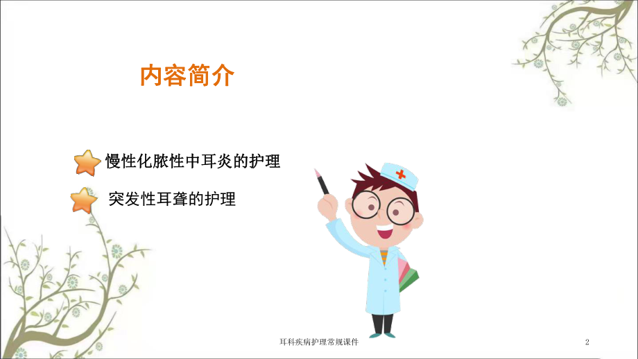 耳科疾病护理常规课件.ppt_第2页