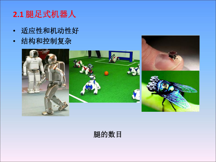 移动机器人原理与设计课件第二章运动机构.ppt_第2页