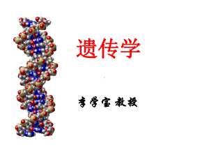 Genetics2遗传的细胞学基础课件.ppt