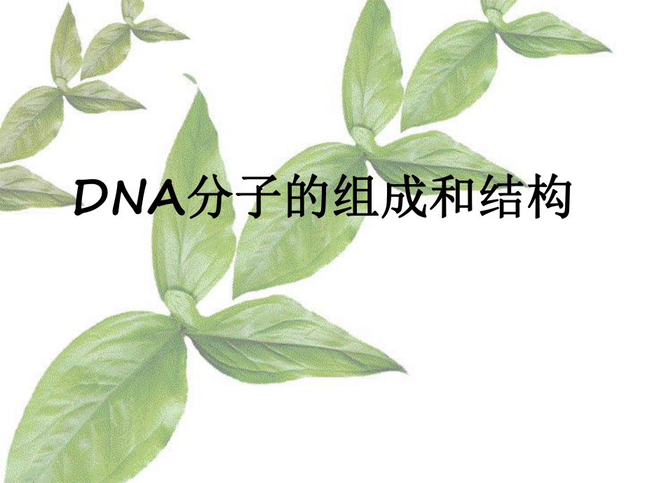 DNA分子组成及结构课件.ppt_第1页