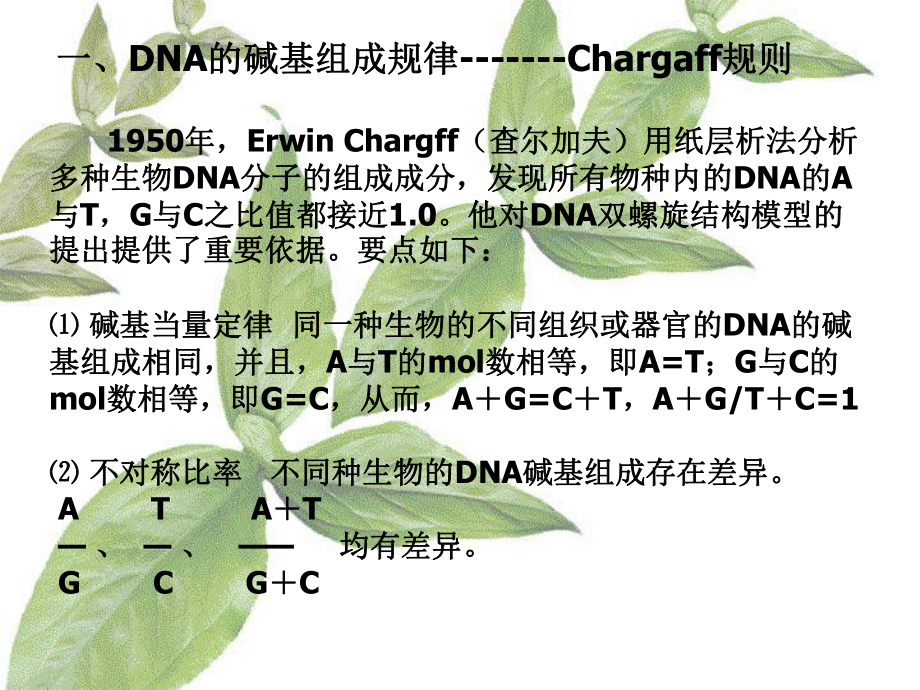 DNA分子组成及结构课件.ppt_第2页