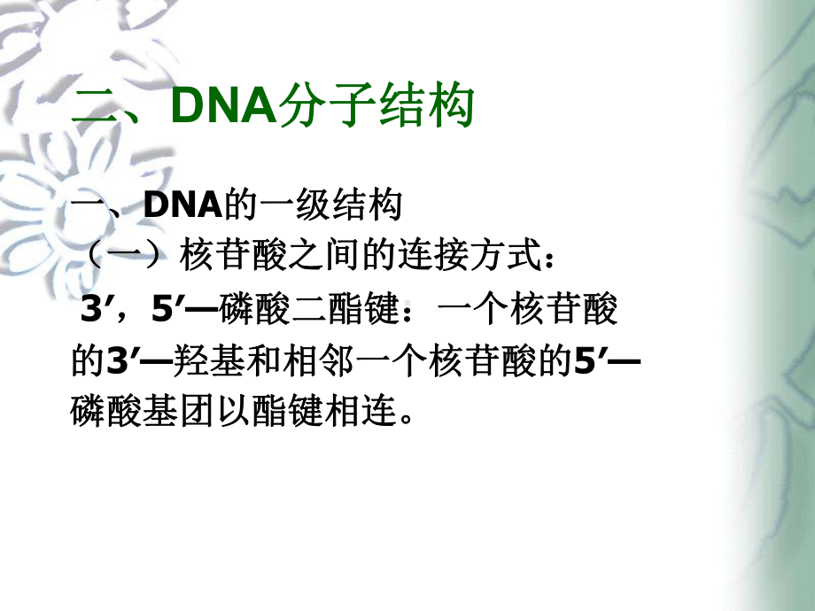 DNA分子组成及结构课件.ppt_第3页