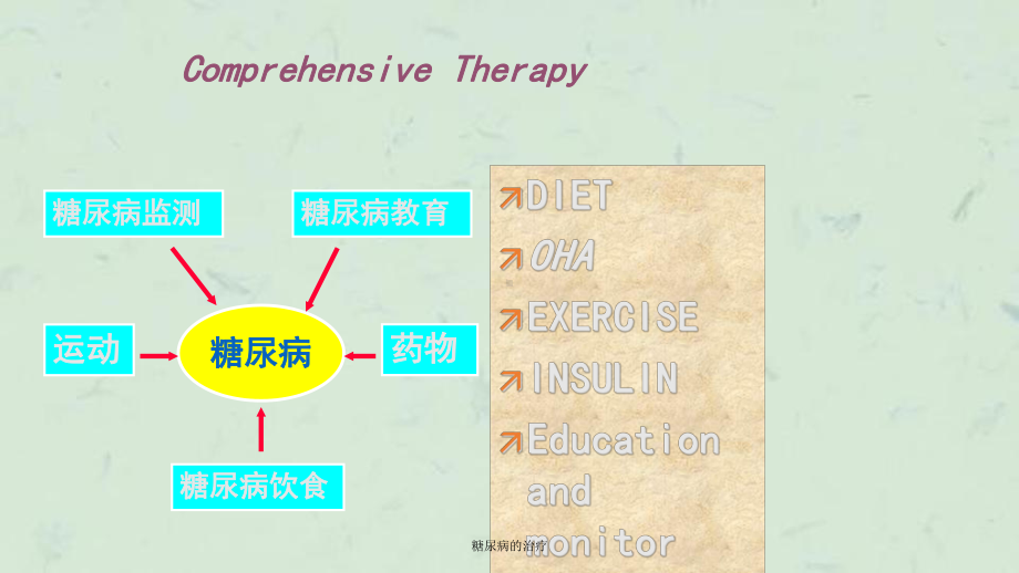 糖尿病的治疗课件.ppt_第2页