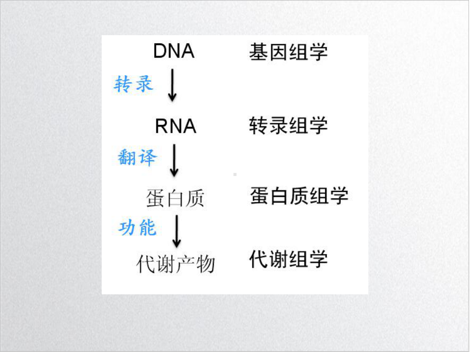 组学与医学课件1.ppt_第3页