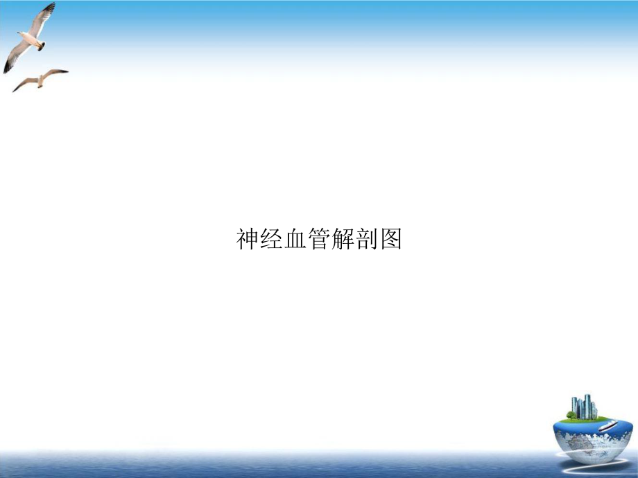 神经血管解剖图培训讲义课件.ppt_第1页