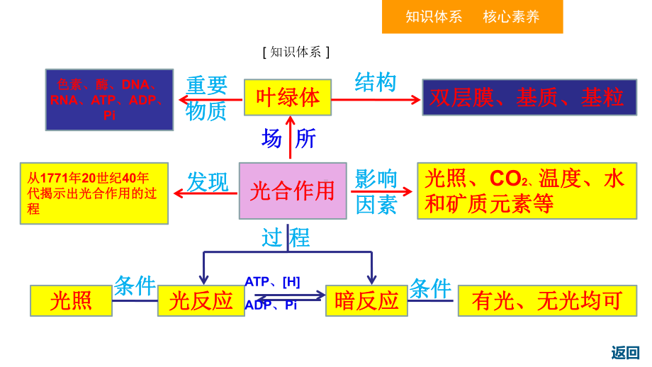 (新教材)光合作用与能量转化课件人教版1.ppt_第2页