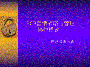 SCP营销战略与管理模式课件.ppt