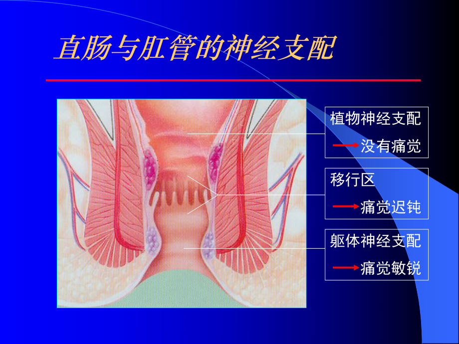 痔的套扎治疗课件.pptx_第3页