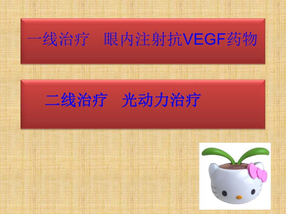 老年性黄斑变性护理课件.ppt_第2页