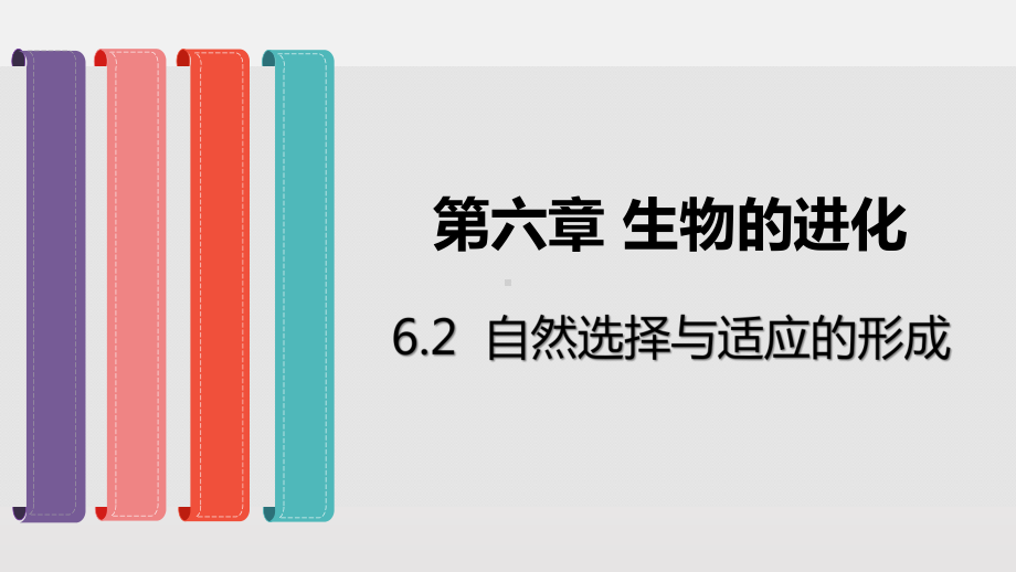 (新教材)自然选择与适应的形成精美课件人教版2.pptx_第1页