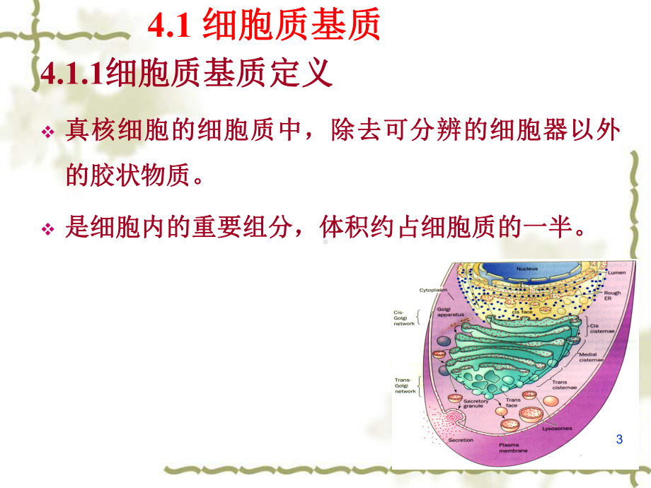 四章内膜系统a-课件.ppt_第3页