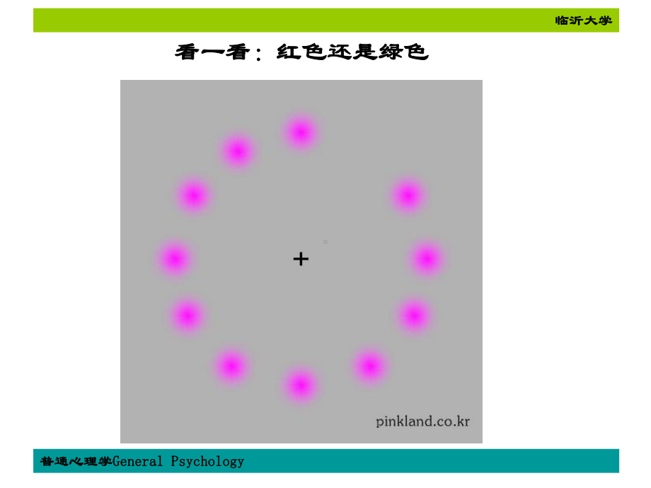 《普通心理学》第一章-心理学概述电子教案课件.ppt_第2页