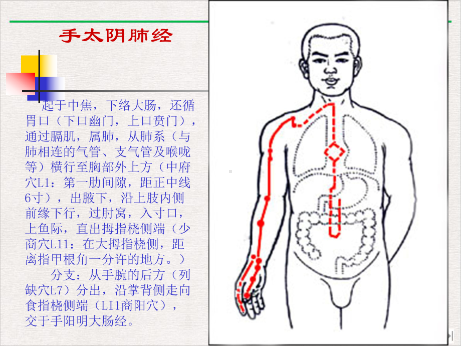 经络学说中医与养生新版课件.pptx_第2页