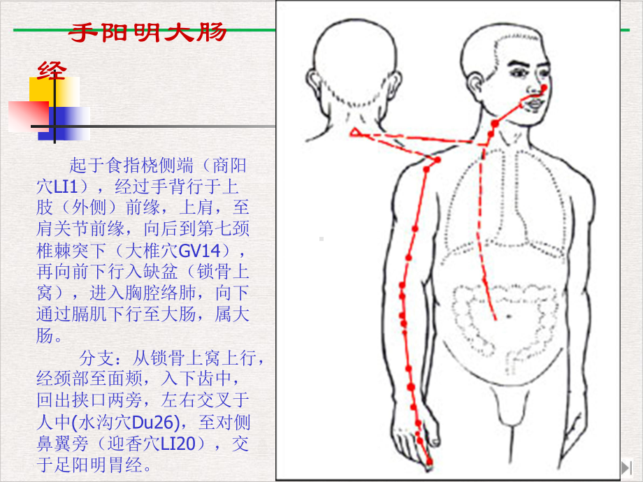 经络学说中医与养生新版课件.pptx_第3页