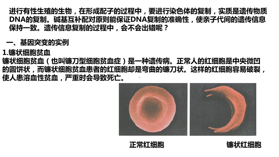 (新教材)基因突变和基因重组完整版人教版1课件.pptx_第3页