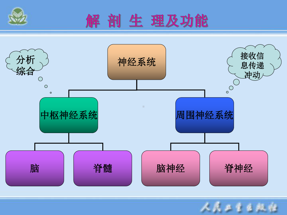 第一节神经系统疾病病人常见症状体征的护理课件.pptx_第3页