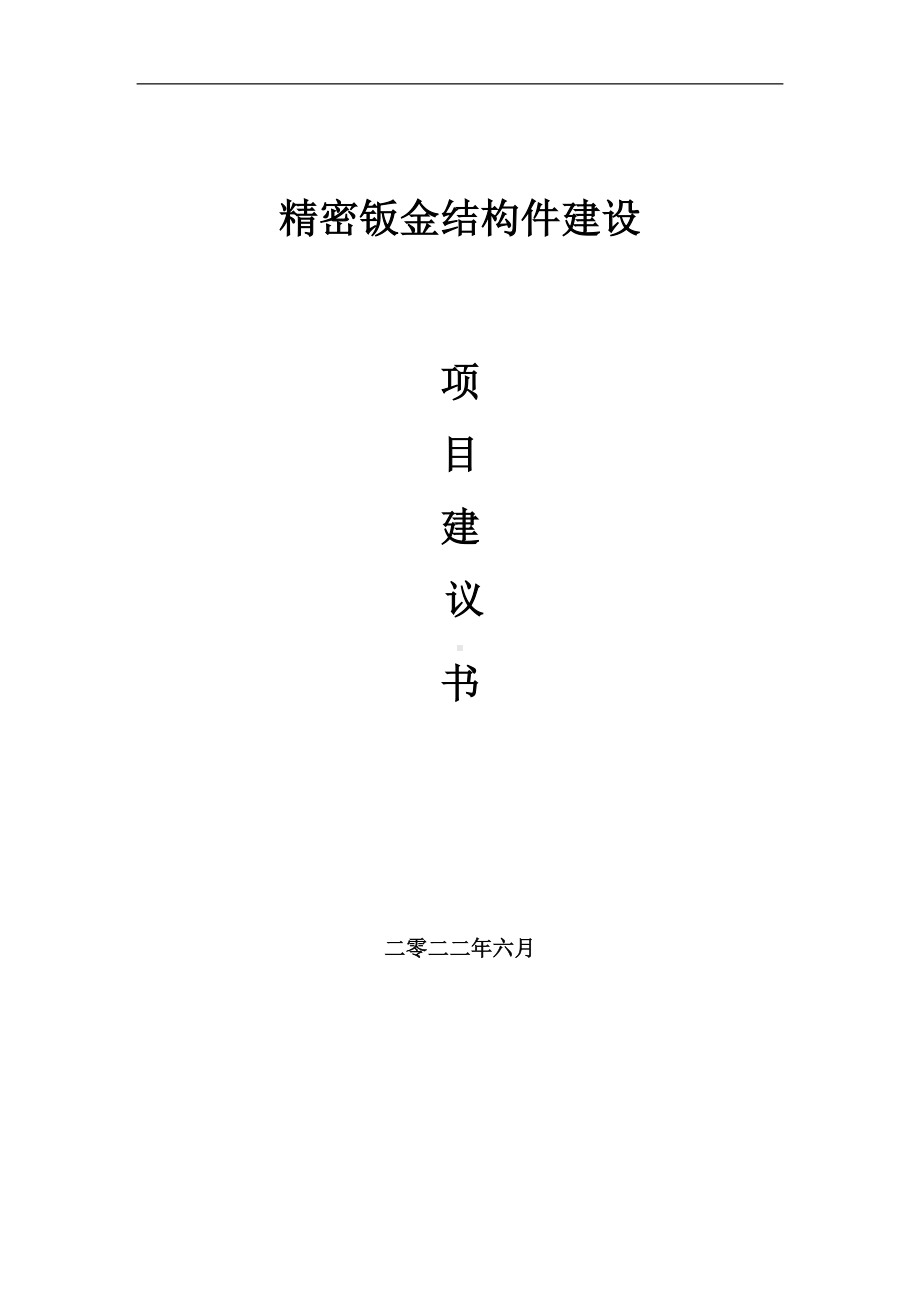 精密钣金结构件项目建议书（写作模板）.doc_第1页