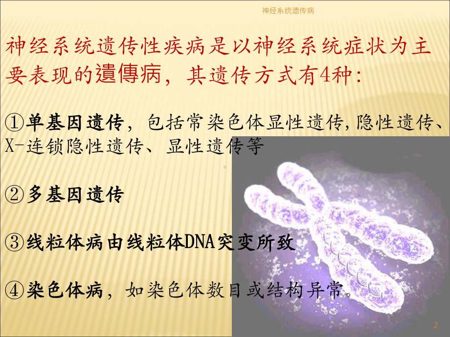 神经系统遗传病课件.ppt_第2页