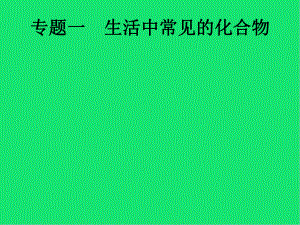 (课标通用)甘肃中考化学总复习-生活中常见的化合物课件.pptx