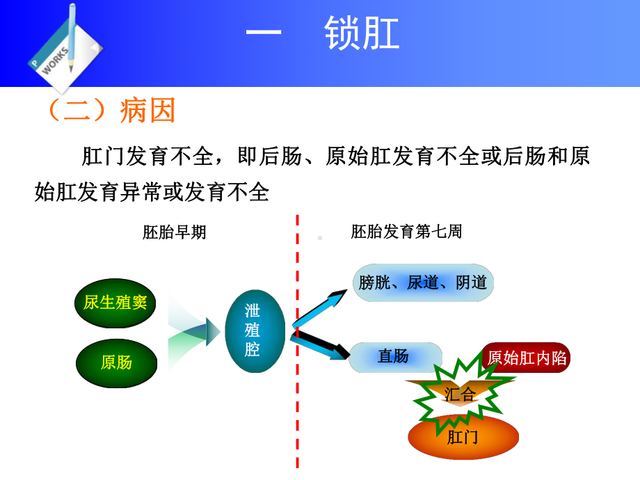 直肠和肛门疾病培训课件.ppt_第2页