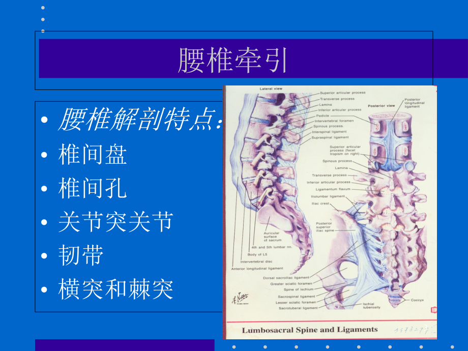 -腰椎牵引课件.ppt_第3页