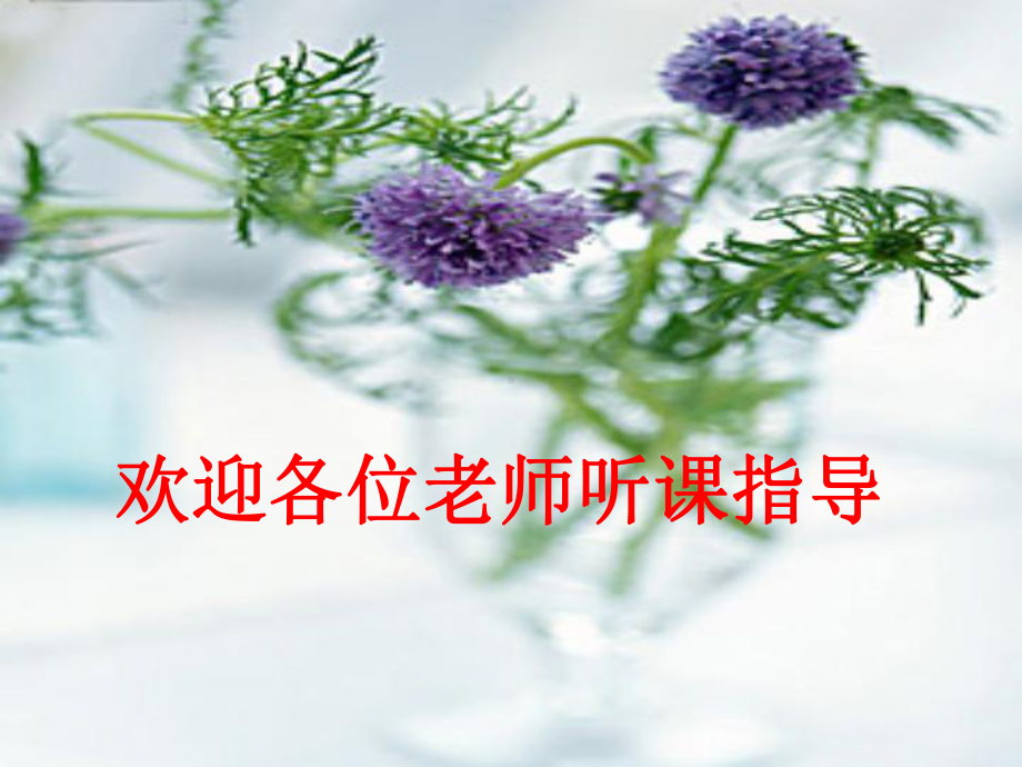 《比的认识》教学课件.ppt_第1页