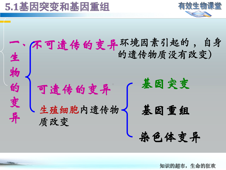 (新教材)基因突变和基因重组教学课件人教版1.pptx_第3页