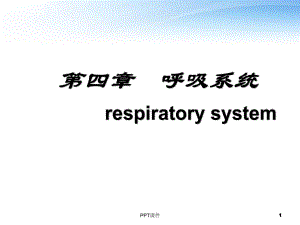 系统解剖学之呼吸系统-课件.ppt