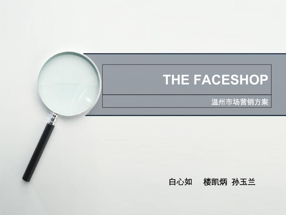 Thefaceshop出口营销方案玉兰课件.ppt_第1页