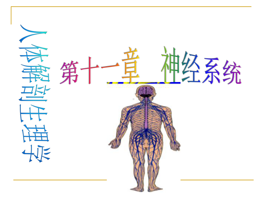 神经系统(药学)课件.ppt_第1页