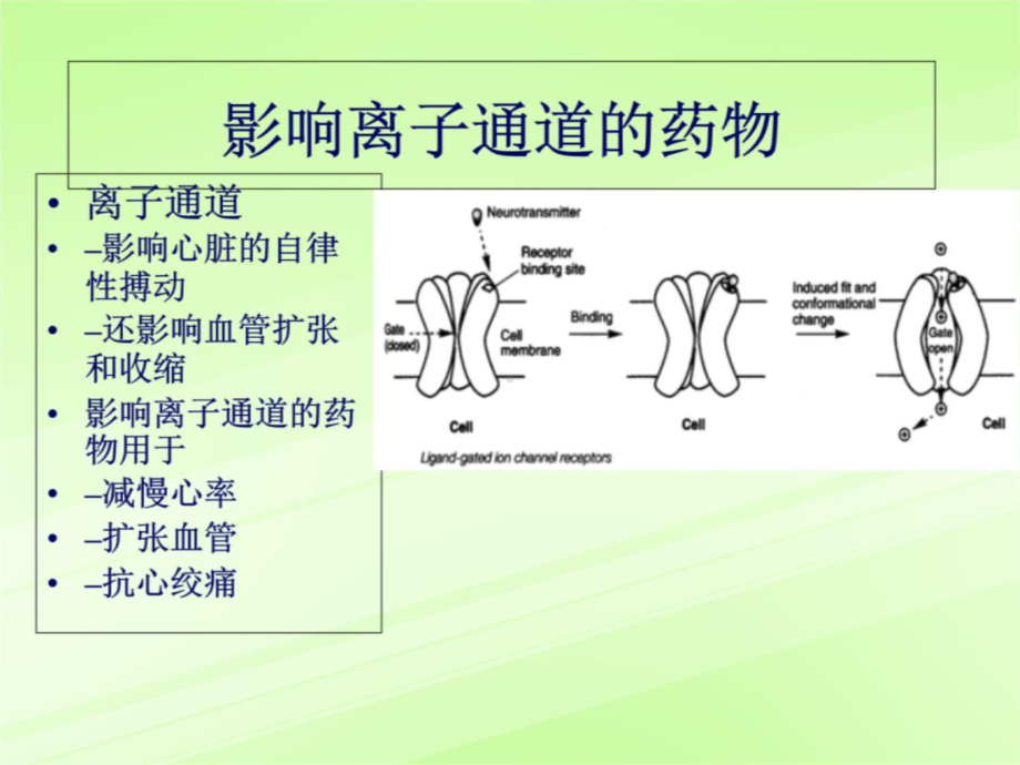 六章§2抗心律失常09课件.ppt_第3页