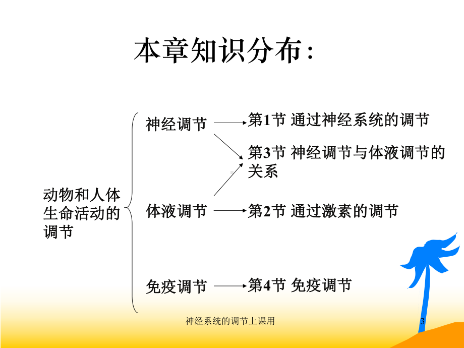 神经系统的调节上课用课件.ppt_第3页