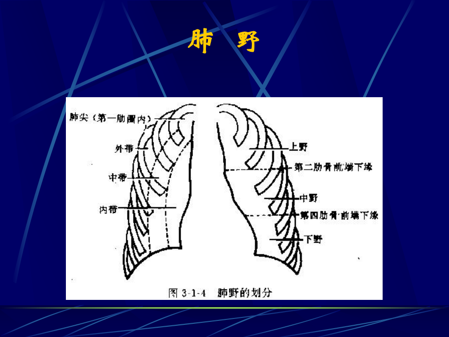 《医师X线读片》课件.ppt_第3页