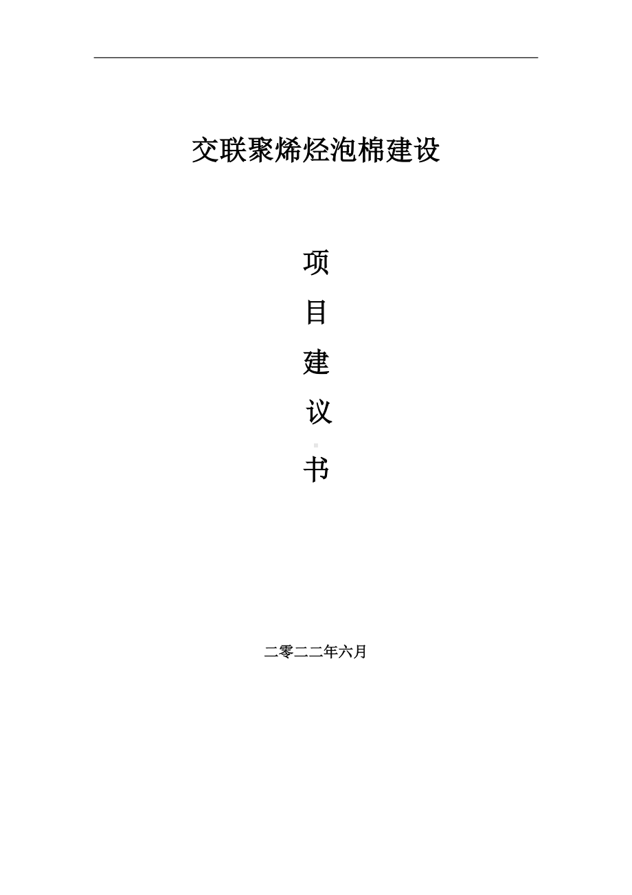 交联聚烯烃泡棉项目建议书（写作模板）.doc_第1页