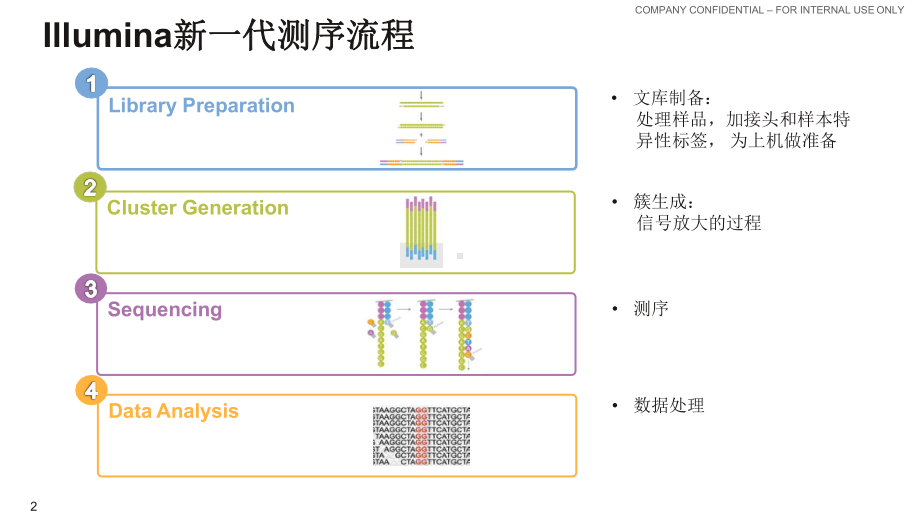 MiSeq高通量测序在临床的应用介绍课件.pptx_第2页