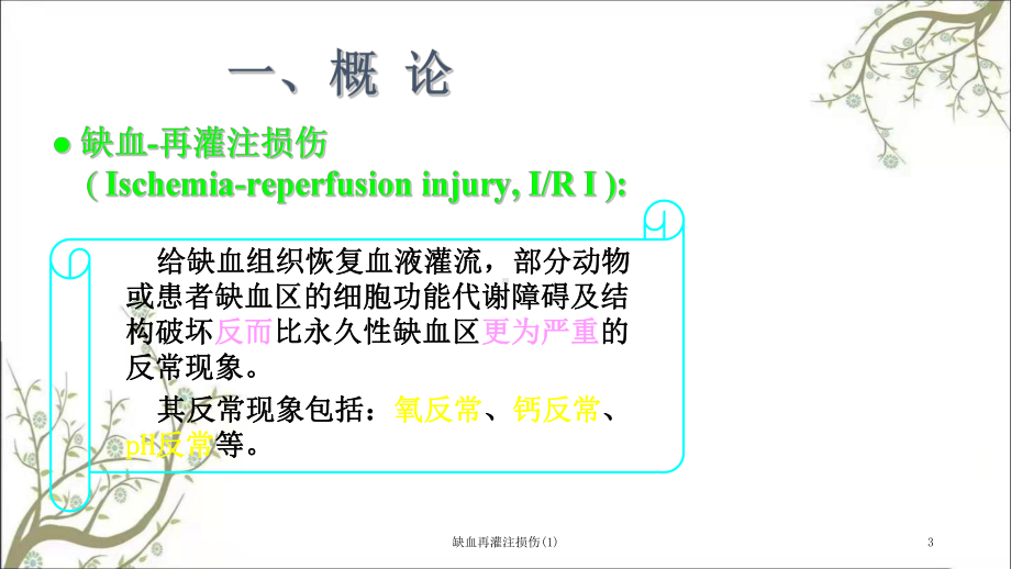 缺血再灌注损伤-课件.ppt_第3页