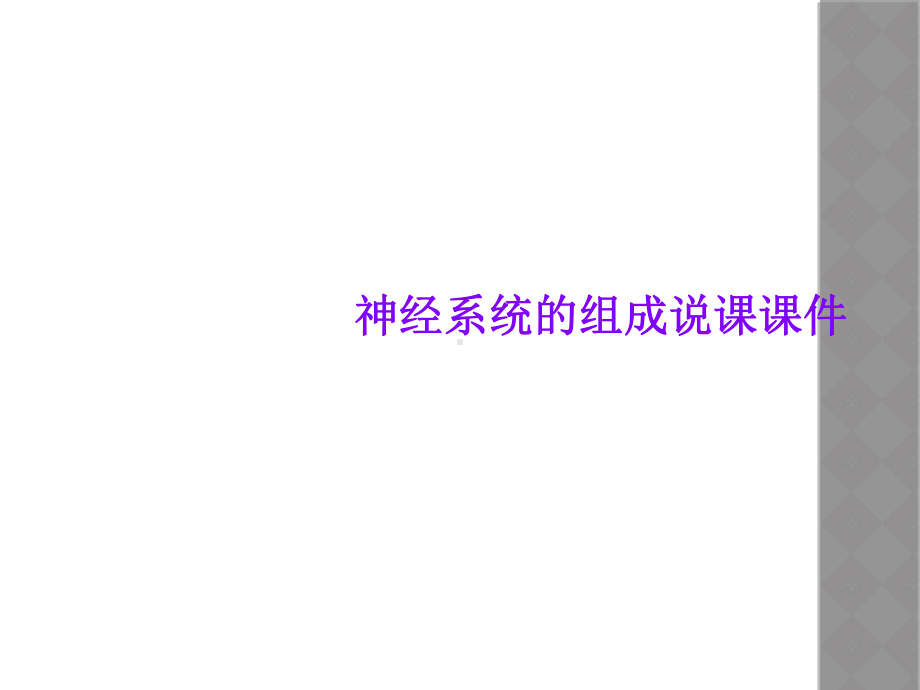 神经系统的组成说课课件.ppt_第1页