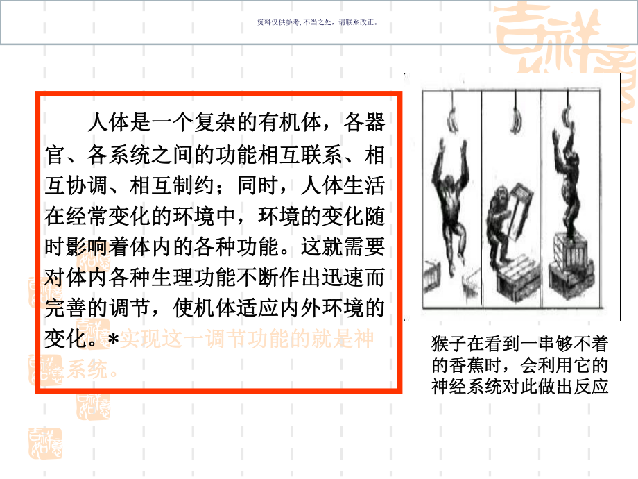 神经系统主题医学知识课件.ppt_第1页