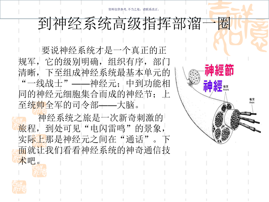 神经系统主题医学知识课件.ppt_第3页