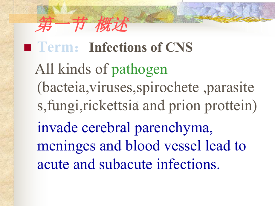 第二章神经系统疾病常见症状(Symptomatologyofthe课件.ppt_第2页