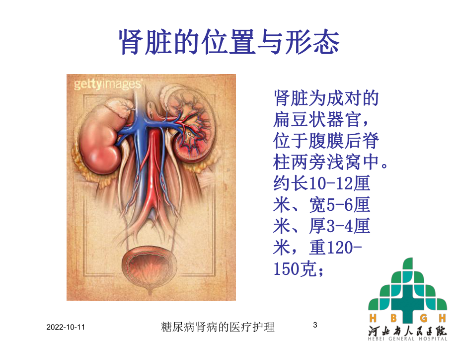 糖尿病肾病的医疗护理培训课件.ppt_第3页