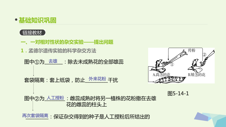 (全国版)18版高考生物一轮复习(基础知识巩固考点互动探究考例考法直击教师备用习题)第5单元遗传的基课件.ppt_第3页