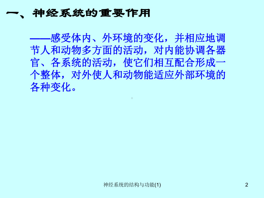 神经系统的结构与功能-课件.ppt_第2页