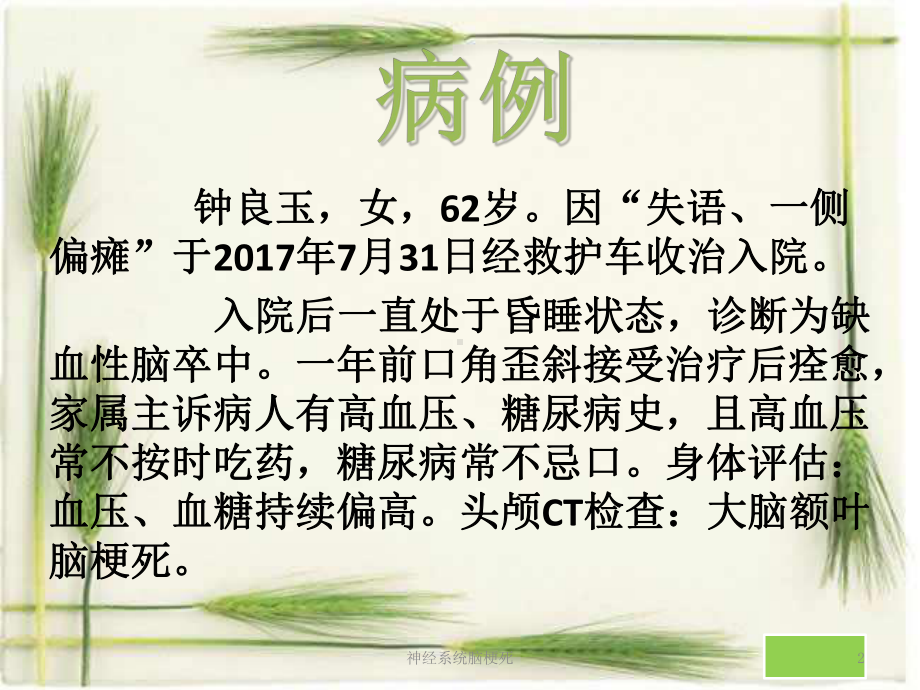 神经系统脑梗死课件.ppt_第2页